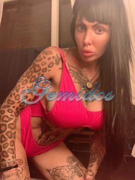 Pamefitdoll