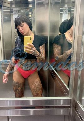Pamefitdoll