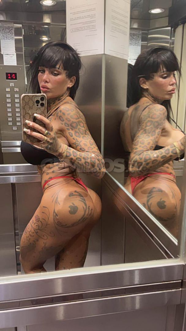 Pamefitdoll