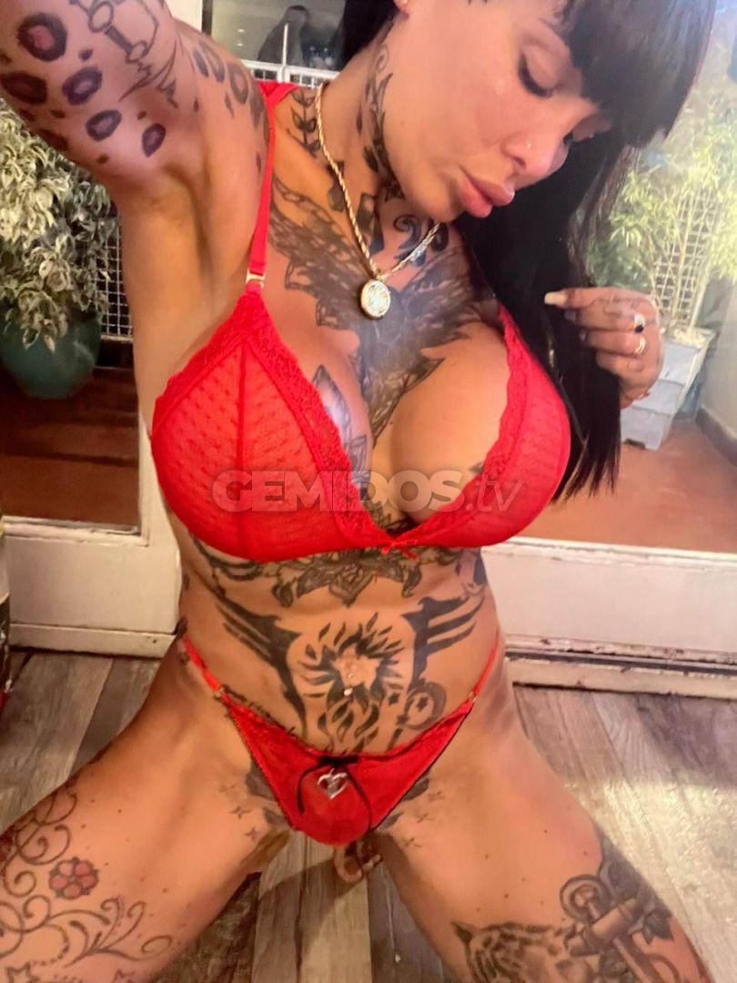 Pamefitdoll