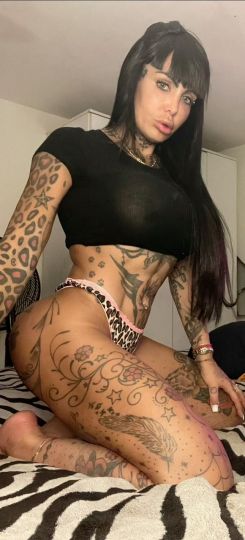 Pamefitdoll