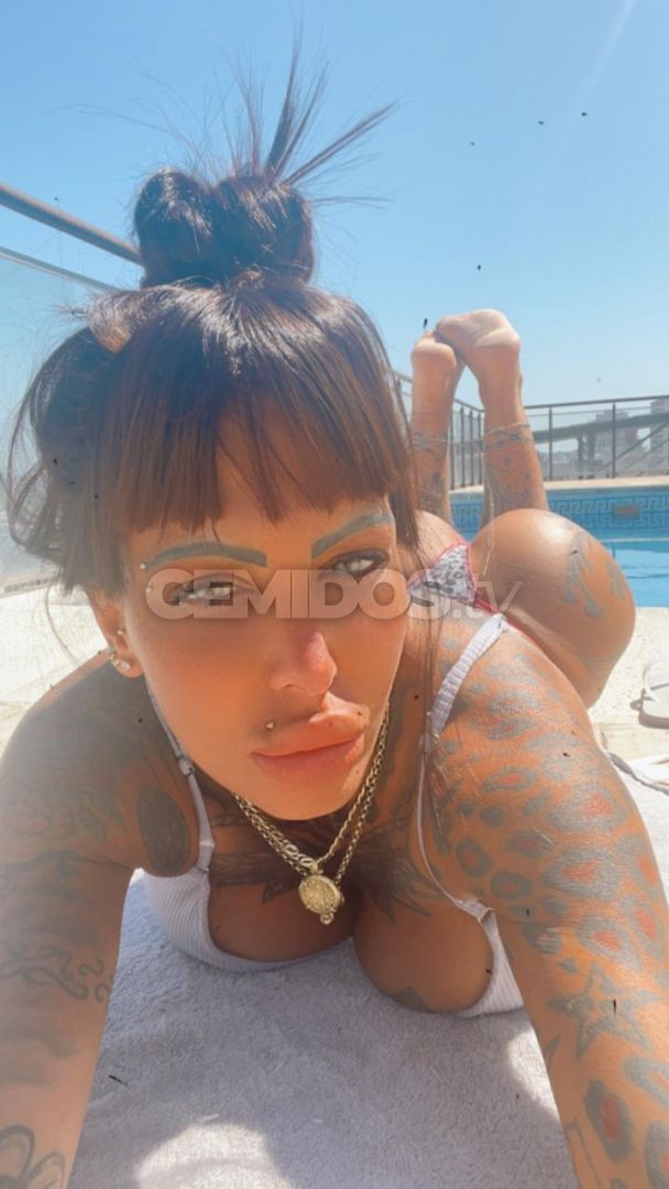 Pamefitdoll