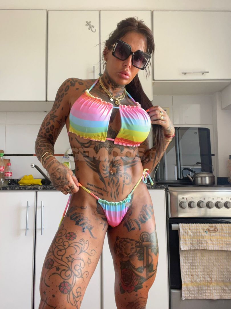 Pamefitdoll