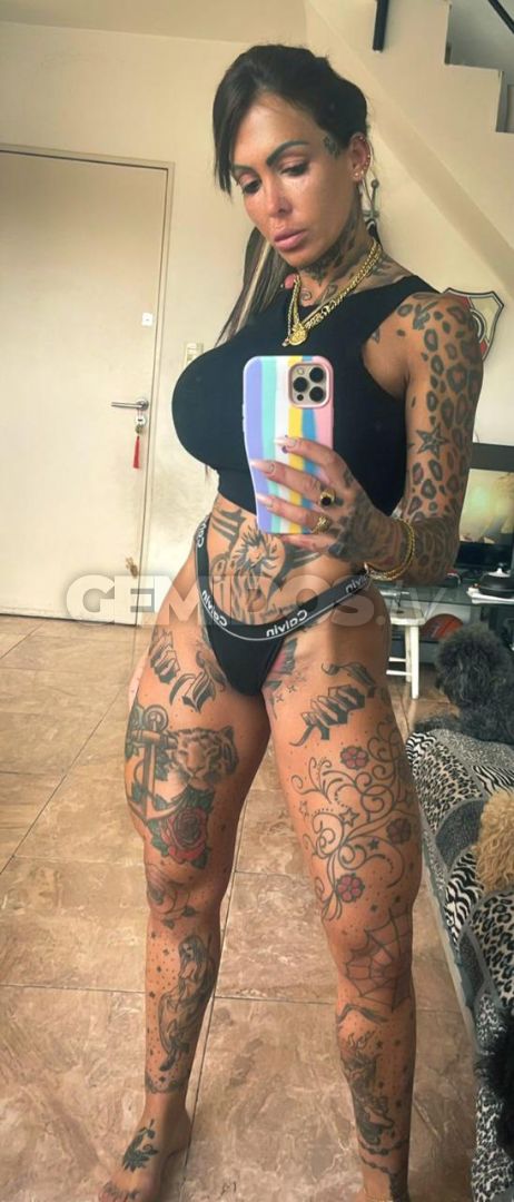 Pamefitdoll