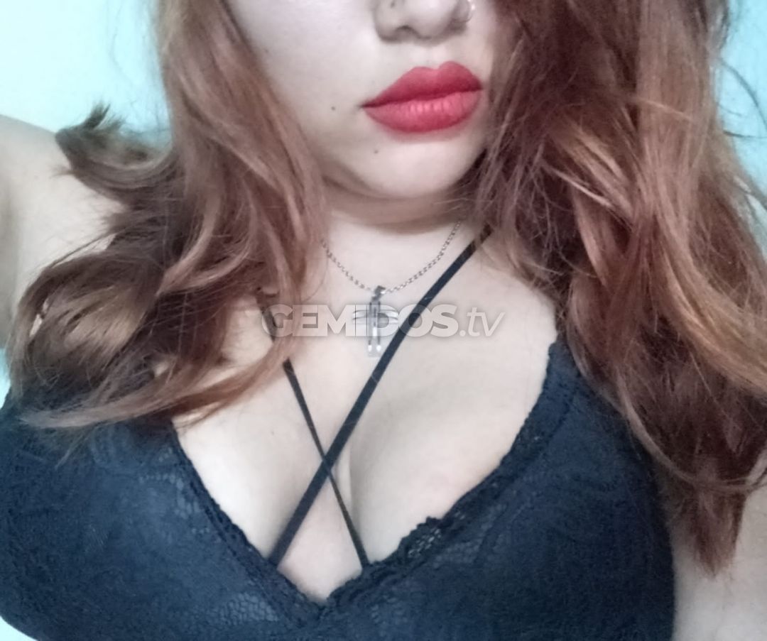 Dama ZN