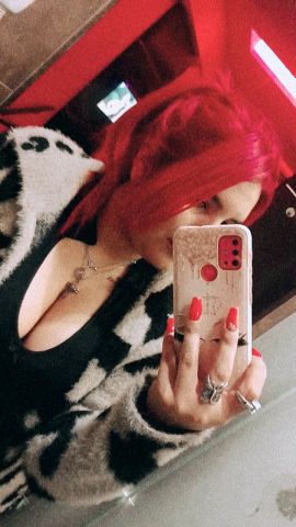 Dama ZN