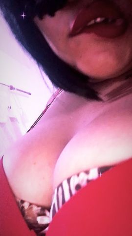 Dama ZN