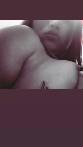 Dama ZN