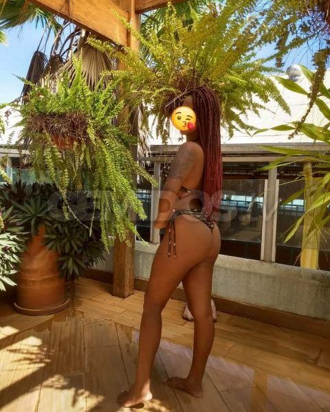 Sou morena e magra, de bumbum e coxas grandes, com seios pequenos. Sou mineira e bem animadinha. Atendimento estilo namoradinha.Horário de atendimento: Das 18:00 às 06:00 horas.Cachê: R$ 150,00.